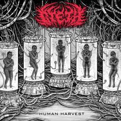DYETH : Human Harvest